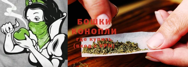 MESCALINE Покачи