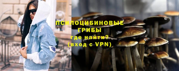 стафф Алексин