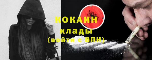стафф Алексин