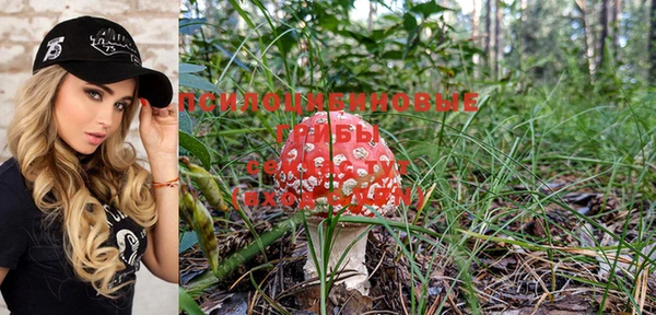 шишки Алзамай