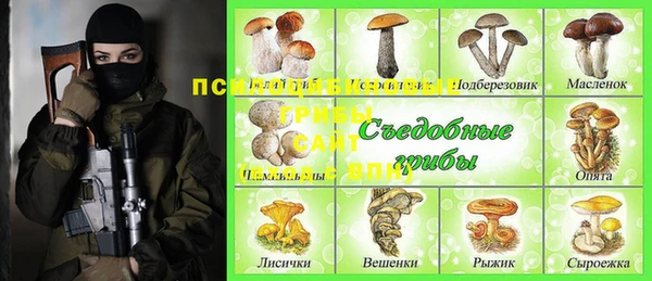 шишки Алзамай