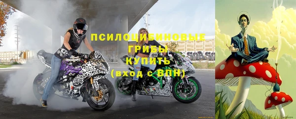 сатива Алексеевка